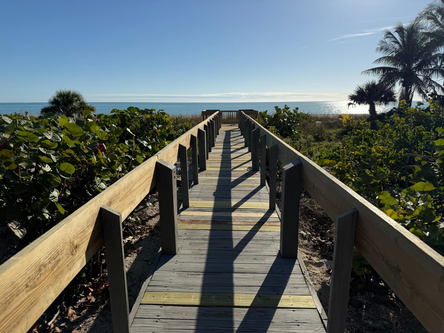 Dune Walkover (1)