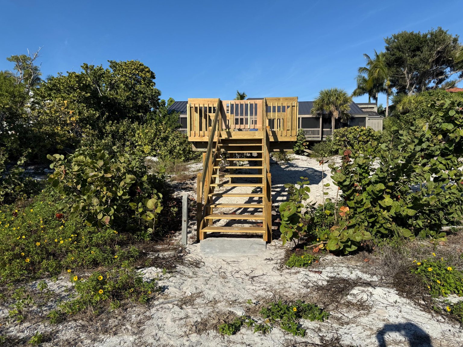 Dune Walkover (4)